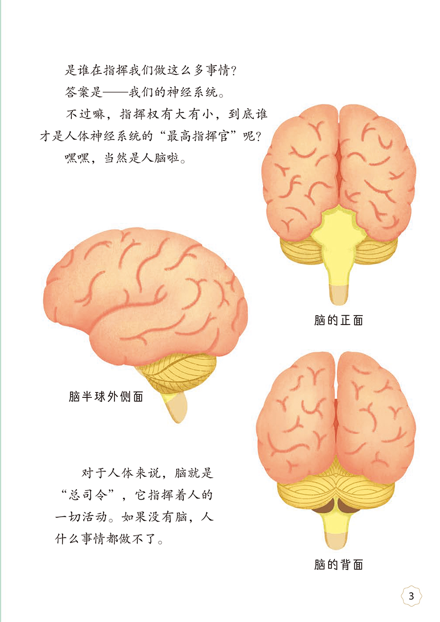 34893(yz) (2).jpg