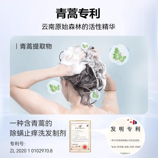 【下单送小样*2】征服2024新升级青蒿洗发乳洗发水洗护系列【4-613】 商品图1