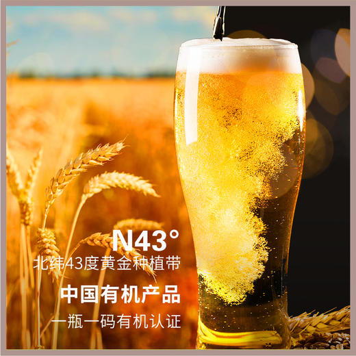 莱宝鲜啤 有机原野白啤 商品图2
