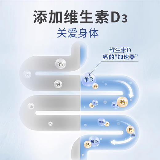 好棣钙镁维生素D咀嚼片 商品图2