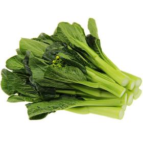 南宁甜菜心 500g