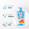 1.03kg雕牌清新红柚洗洁精(DZ) 商品缩略图3