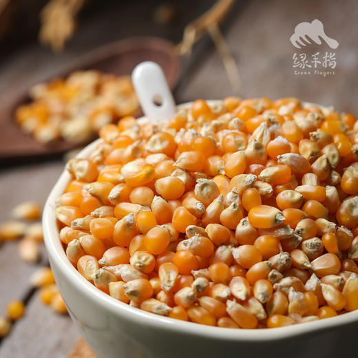 生态爆米花玉米粒（爆裂玉米） | 合作生产*Ecological  Burst grain corn |  Partner Production 商品图0
