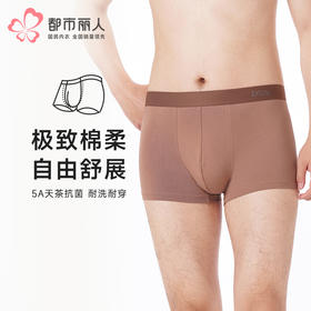 都市丽人都市锋尚内裤简约基础平角裤水柔棉男士内裤FKTCD1