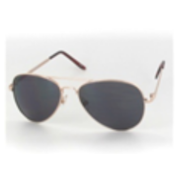 2.5新视代 太阳镜 SUN 106 0202 /SUN 106 0909