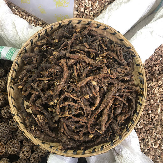 胡黄连 精选胡黄连中药材 商品图2