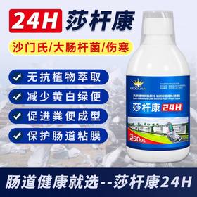 【莎沙杆康】250毫升，沙门氏信鸽用沙门氏大肠杆菌副伤寒水绿便专用（搏冠鸽药）