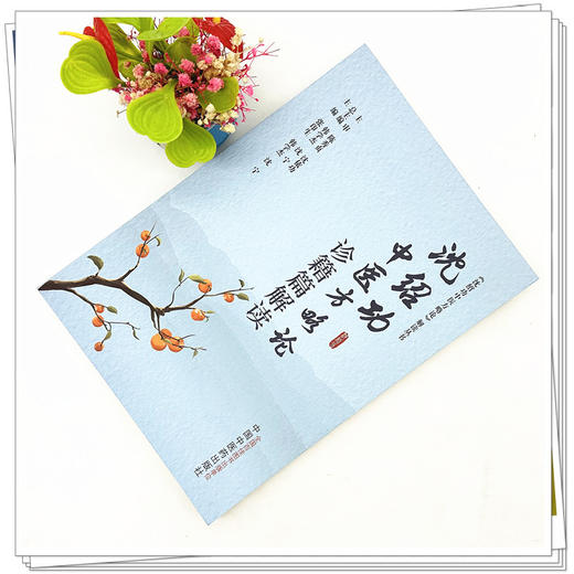 沈绍功中医方略论诊籍篇解读 张印生 韩学杰 沈宁 主编 中国中医药出版社 商品图1