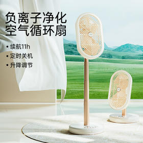 向物（SOTHING）空气循环扇电风扇落地扇静音摇头扇 【负离子净化版】