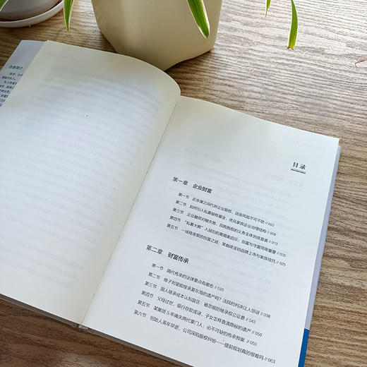 [stb]私人财富保护、传承与工具 商品图2