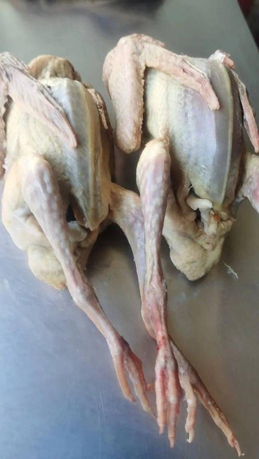 在民间有句老话，一鸽胜九鸡，可以想象得到鸽
子的营养价值了。乳鸽的肉厚而嫩，滋养作用较强，鸽肉滋味鲜美，肉质细嫩，富含粗蛋白质和少量无机盐等营养成分。具有养颜护发、提高记忆力等功效。0.5-0.7斤 商品图3