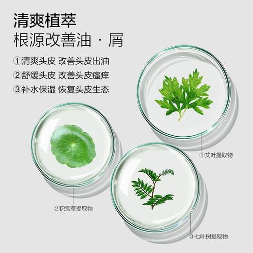 【4月份积分兑换】艾草海盐膏 商品图1