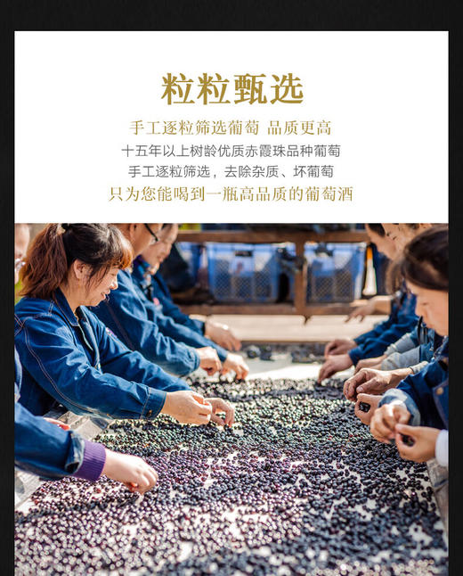 尼雅传奇2019 马瑟兰混酿干红葡萄酒 商品图5