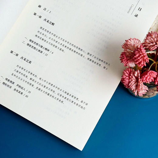 中小学古文评点及教学建议 语文教师古文教学工具书 赵希斌 章靓靓 张宁 商品图7