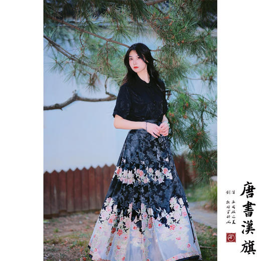 【满庭芳·似锦】马面裙织金妆花改良国风新中式蔷薇黑马面套装 商品图5