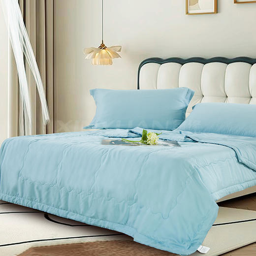 鑫缘 可水洗纯桑蚕丝被 AEPR0215 商品图4