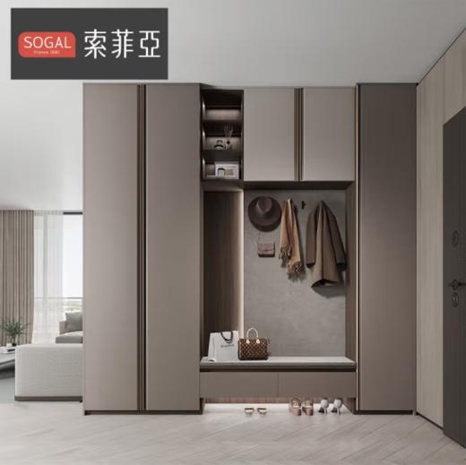 索菲亚定制衣柜 轻奢整体衣柜卧室家具玻璃门 阳台洗衣机柜电视机柜 入户玄关柜餐边柜酒柜 （单平米价） （莱斯系列）极简轻奢鞋柜 商品图0