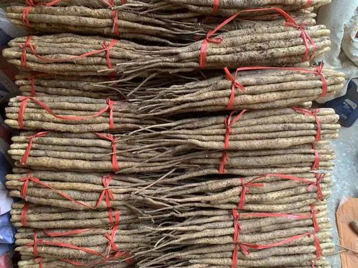 【产地直发顺丰包邮】温县垆土铁棍山药5斤装 商品图3