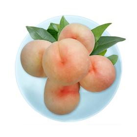 白凤蜜桃（一箱13个）