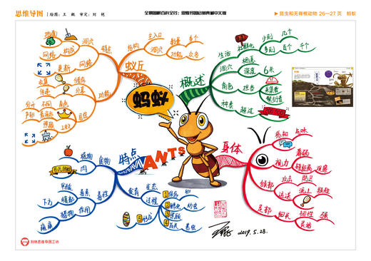 全景图解百科全书：思维导图启蒙典藏中文版【樊登老师直播推荐、欧阳自远院士推荐】每册赠一张思维导图 商品图2