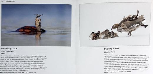 【中商原版】Wildlife Photographer of the Year: Highlights Volume 9 进口艺术 年度野生动物摄影师 商品图7