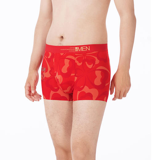 都市丽人都市锋尚内裤潮流时尚平角裤60S木莱尔男士内裤FKTHC3 商品图2