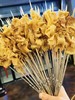 大筋皮子一袋 商品缩略图0