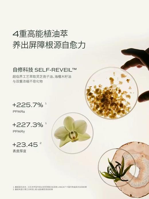 2024新品升级 解锁LAN兰时光 兰花油3.0 【买15ml送15m】【LAN蘭时光油/气泡油/凤凰油/琉璃油】 商品图7