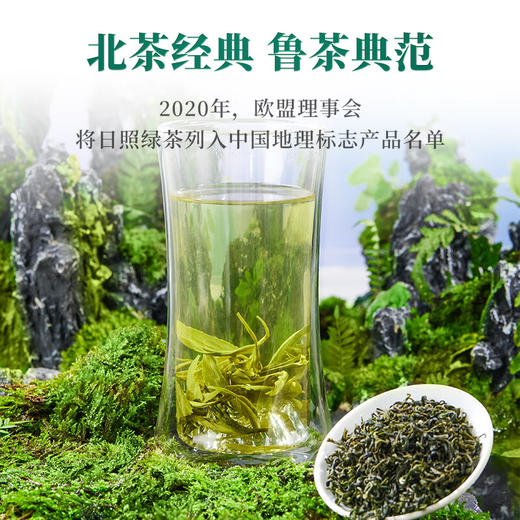 2024中粮中茶日照绿茶200g/包新茶 商品图3