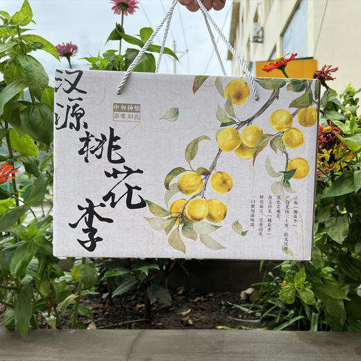 桃花李（玉皇李）/软熟口感/267项农残0检出 商品图13