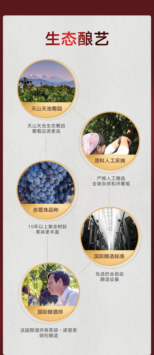尼雅酿酒师系列葡萄酒 赤霞珠750ml*6瓶 商品图8