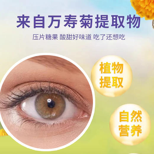 新视佳 蓝莓叶黄素酯片 商品图2