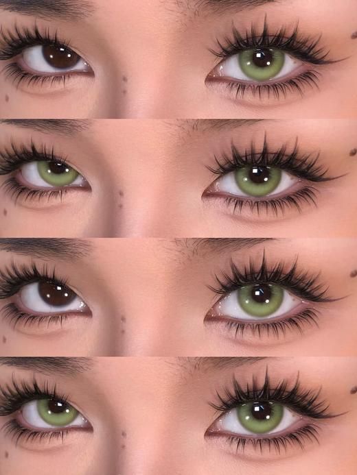 woolilens 半年抛 青蛙呱呱 直径14.2mm着色13.5mm 商品图6