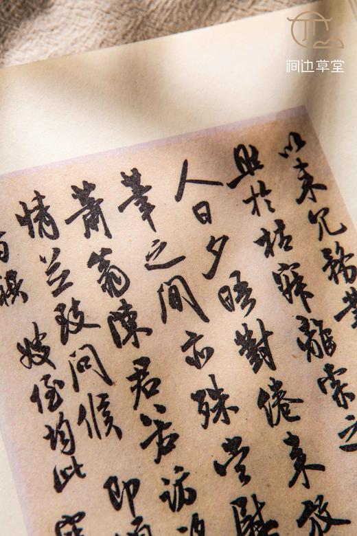 【绝版好书】《书法神探曹宝麟》曹宝麟提斋号本 商品图13