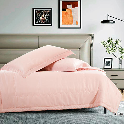 鑫缘 可水洗纯桑蚕丝被 AEPR0215 商品图2