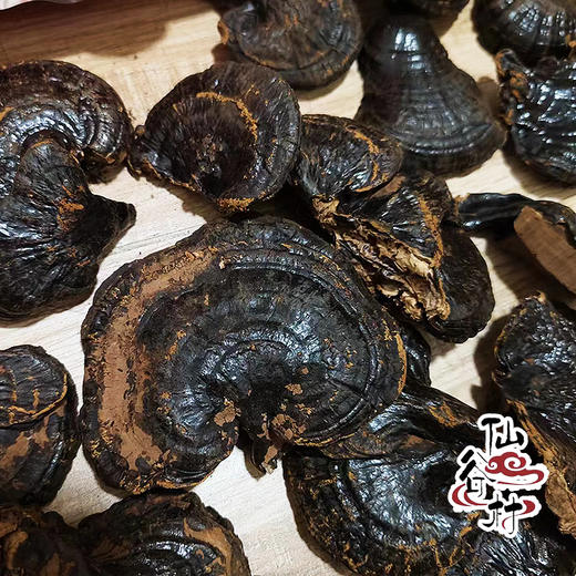 安徽旌德小紫灵芝干货250克/袋【国sir严选】 商品图2