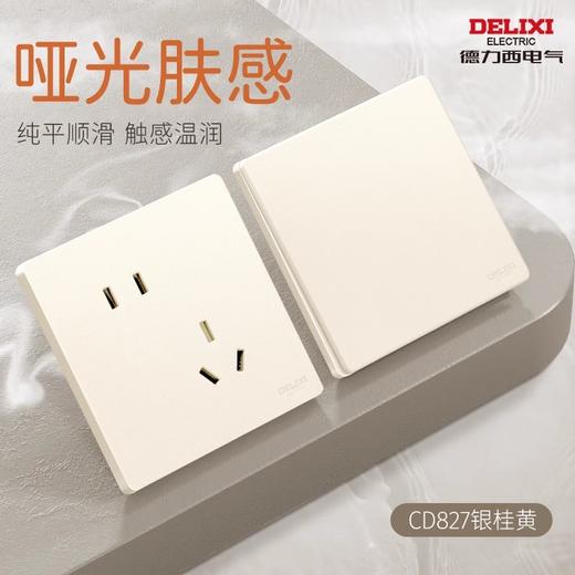 德力西 奶油风肤感哑光开关插座 磨砂面板五孔827黄 商品图7