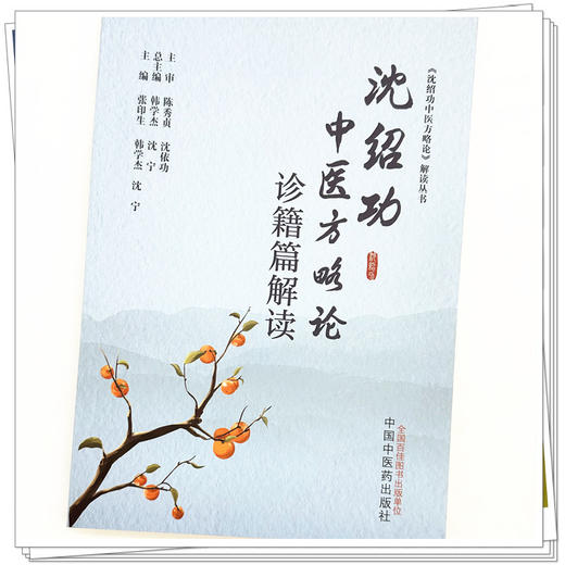 沈绍功中医方略论诊籍篇解读 张印生 韩学杰 沈宁 主编 中国中医药出版社 商品图3