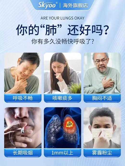 Skyoo美国原装进口菠萝蛋白酶槲皮素【69121824】 商品图1