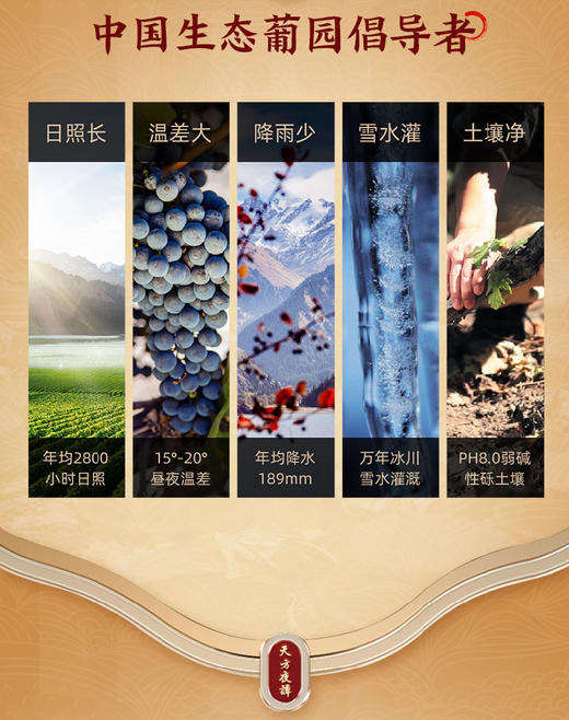 尼雅（niya）天方夜谭葡萄富集酒 60度 商品图5