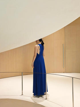 Stolen｜BAILEY dress [ 连衣裙 黑 / 蓝  ]