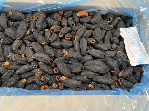 散货海参 商品图1