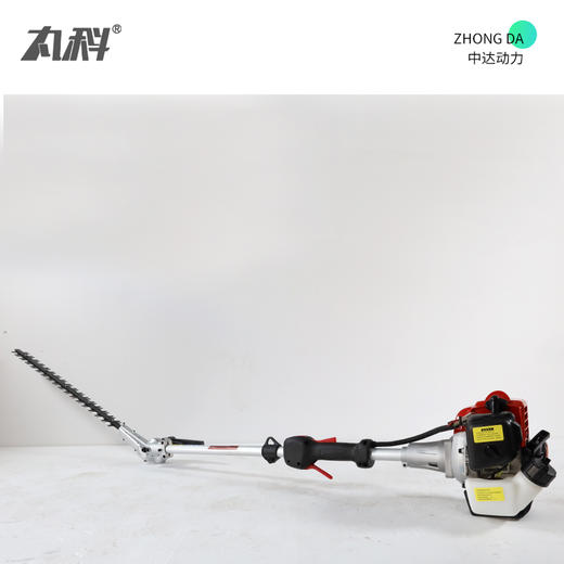 丸科 宽带绿篱-T261 商品图4