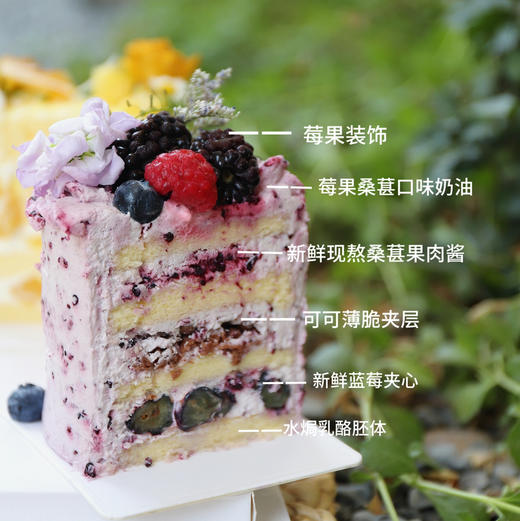 缤纷分享（4个3寸口味蛋糕组合，包10元跑腿，下单默认收取20元配送费用，按实际地址多退少补） 商品图5