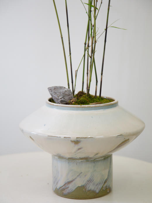 碟盆内门竹 商品图1