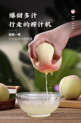 阳山水蜜桃“甜蜜”攻略来啦！内含保存方法和食用指南~