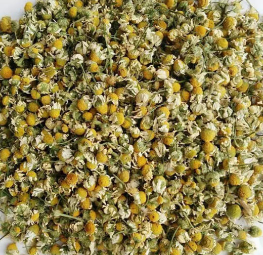 洋甘菊 500g 商品图3
