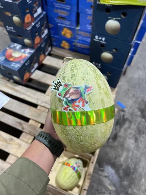 青蛙王子哈密瓜一箱 商品图1