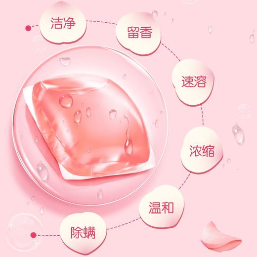 立白香维娅洗衣凝珠(玫瑰白桃香) 520克(52颗) 1-2盒装 商品图3