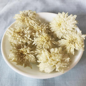 七月菊 菊花 白菊花 500g